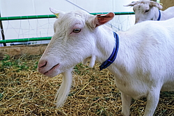 ��������� �� ������