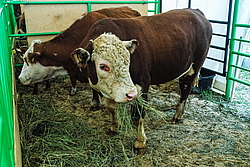 ��������� �� ������