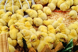 ��������� �� ������