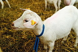 ��������� �� ������