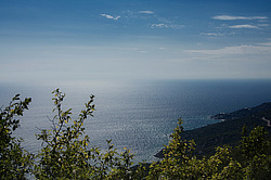 ����, ���������� �����