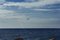 ����, ���������� �����