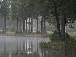 �������� ������ ������ � ����� �� �������� ���� � ����� ������� �����������