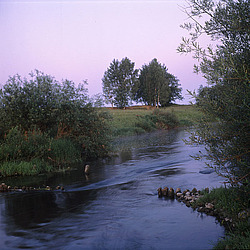 �������� �������, ������� ������