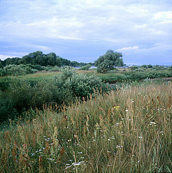 �������� �������, ������� ������