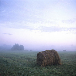 �������� �������, ������� ������