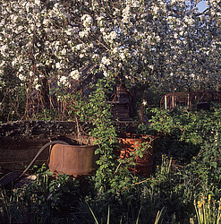 �������� �������, ������� ������