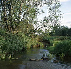 �������� �������, ������� ������