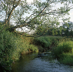 �������� �������, ������� ������