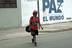 ���� ������