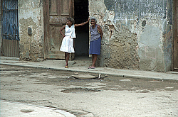 ���� ������