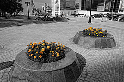 ����� � ���� �������������. �������������. ������������, ������