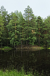 ����������� �������. ����� ������������, ������