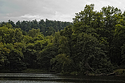 ���������� ��������. ����� ������, ������������, ������