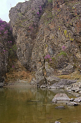 ����� ������� ��� ������ � ���. ���������� �����, �������� ������, ������