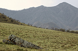 ����� ������� ��� ������ � ���. ���������� �����, �������� ������, ������