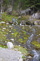 �� �������� ������. ���������� �����, �������� ������, ������