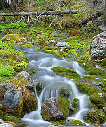 �� �������� ������. ���������� �����, �������� ������, ������