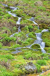 �� �������� ������. ���������� �����, �������� ������, ������