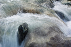 ������ �����. ���������� �����, �������� ������, ������