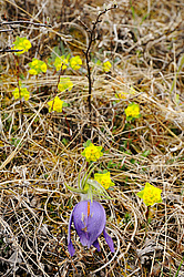 �� �������� ������. ���������� �����, �������� ������, ������