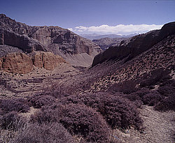 �������, ����������� � �� �������, ��� ����������� ��. ������� � �������, ��������� ����������� ��� ��������� ��������. ������ ������ ������� ������������ ���������, �� ��������� � ���, ������� ��� �� ������ ������������, ���� ����� � ��� �