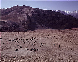 �������, ����������� � �� �������, ��� ����������� ��. ������� � �������, ��������� ����������� ��� ��������� ��������. ������ ������ ������� ������������ ���������, �� ��������� � ���, ������� ��� �� ������ ������������, ���� ����� � ��� �