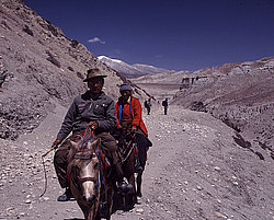 �������, ������������� ����� ������������ � ����������� ��