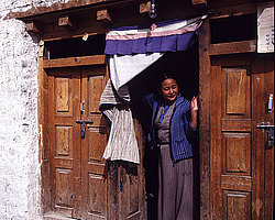 �������, �������, ����, �����, ����, �������, ���������, ������, �������, ������