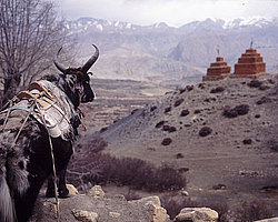 �������, ����������� �������, ��