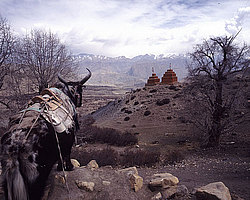 �������, �����������, �������, ��, �� �������, �������, ��������� ����, ������, ����, �����, ����, �����������, ��������, ������