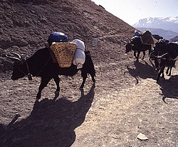 �������, ����������� � �� �������, ��� ����������� ��. ������� � �������, ��������� ����������� ��� ��������� ��������. ������ ������ ������� ������������ ���������, �� ��������� � ���, ������� ��� �� ������ ������������, ���� ����� � ��� �