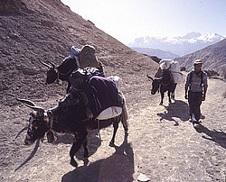 �������, ����������� � �� �������, ��� ����������� ��. ������� � �������, ��������� ����������� ��� ��������� ��������. ������ ������ ������� ������������ ���������, �� ��������� � ���, ������� ��� �� ������ ������������, ���� ����� � ��� �