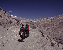 �������, ������������� ����� ������������ � ����������� ��