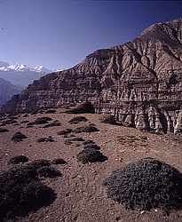 �������, ������, ����, �����������, �� �������