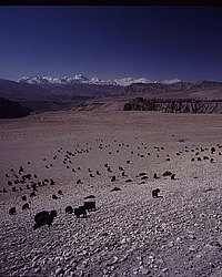 �������, ����������� � �� �������, ��� ����������� ��. ������� � �������, ��������� ����������� ��� ��������� ��������. ������ ������ ������� ������������ ���������, �� ��������� � ���, ������� ��� �� ������ ������������, ���� ����� � ��� �