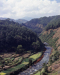 �������, �����, ������� ������ ������� ��������