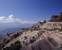 �������, �����, ������ ��������, ����, ������������ �����������