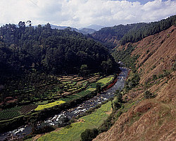 �������, �����, ������� ������ ������� ��������