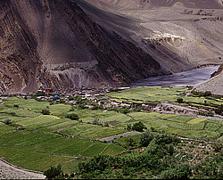 �������, �����, ������� ������ ������� ��������, ������ �������