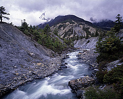 �������, �����, ������� ������ ������� ��������, ������ ����