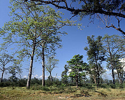 �������, �����, ������������ ���� ������