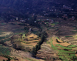 �������, �����, ������ ��������, ������� ���� � �������