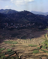 �������, �����, ������ ��������, ������� ���� � �������