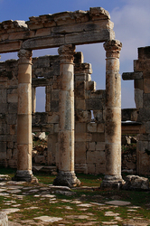 ������������� ����� ������ ������, �����