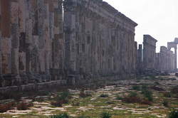 ����� �������������� ������ ������, �����