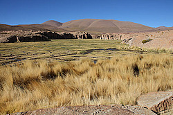 ����� ����� ���� ����������, �������