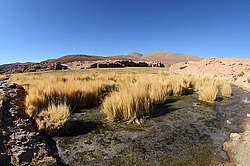 �������� �����, �������