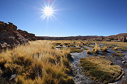 �������� �����, �������