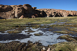 �������� �����, �������